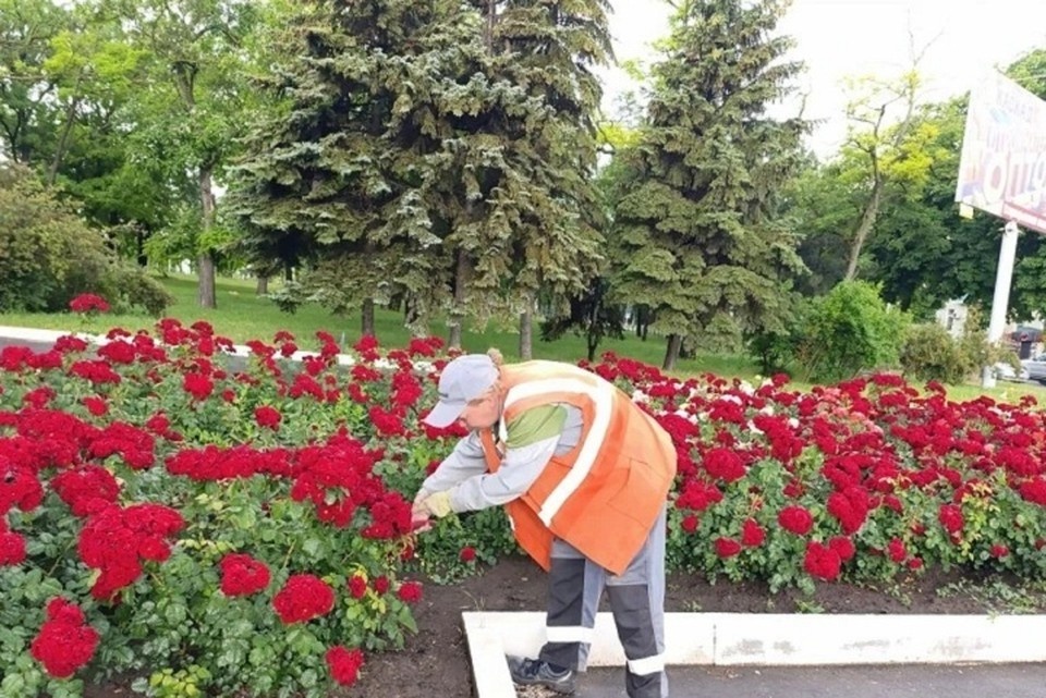    В Мариуполе активно ухаживают за цветниками. Фото: Администрация Мариуполя