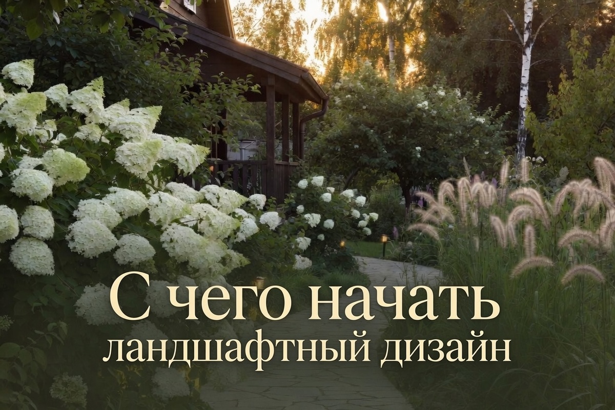 Ландшафтный дизайн на даче: с чего я начала, и что советую тем, кто только думает