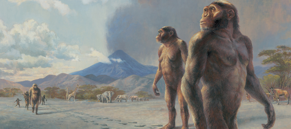 Как выглядели древние прямоходящие Homo.