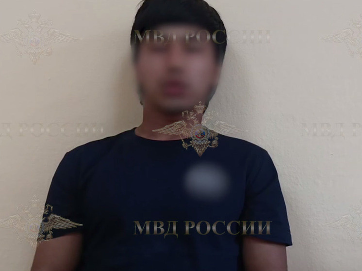     Скриншот: МВД РФ