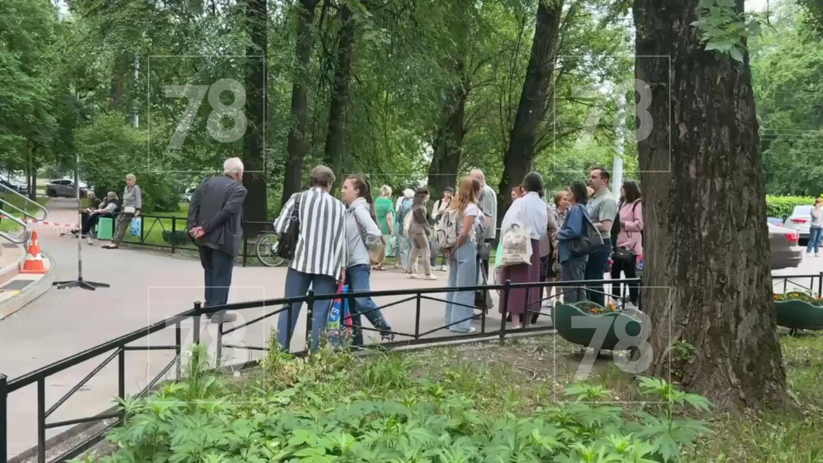    Фото: 78.ru