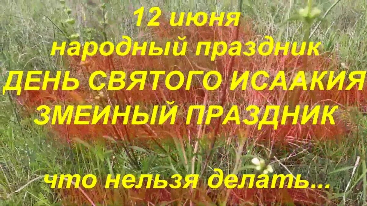 свобод.источник