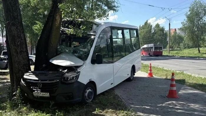 В Смоленске маршрутка врезалась в дерево из-за обморока водителя. Обложка © «Макс» / Полиция Смоленщины