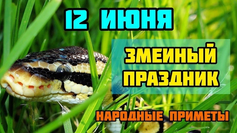 свобод.источник