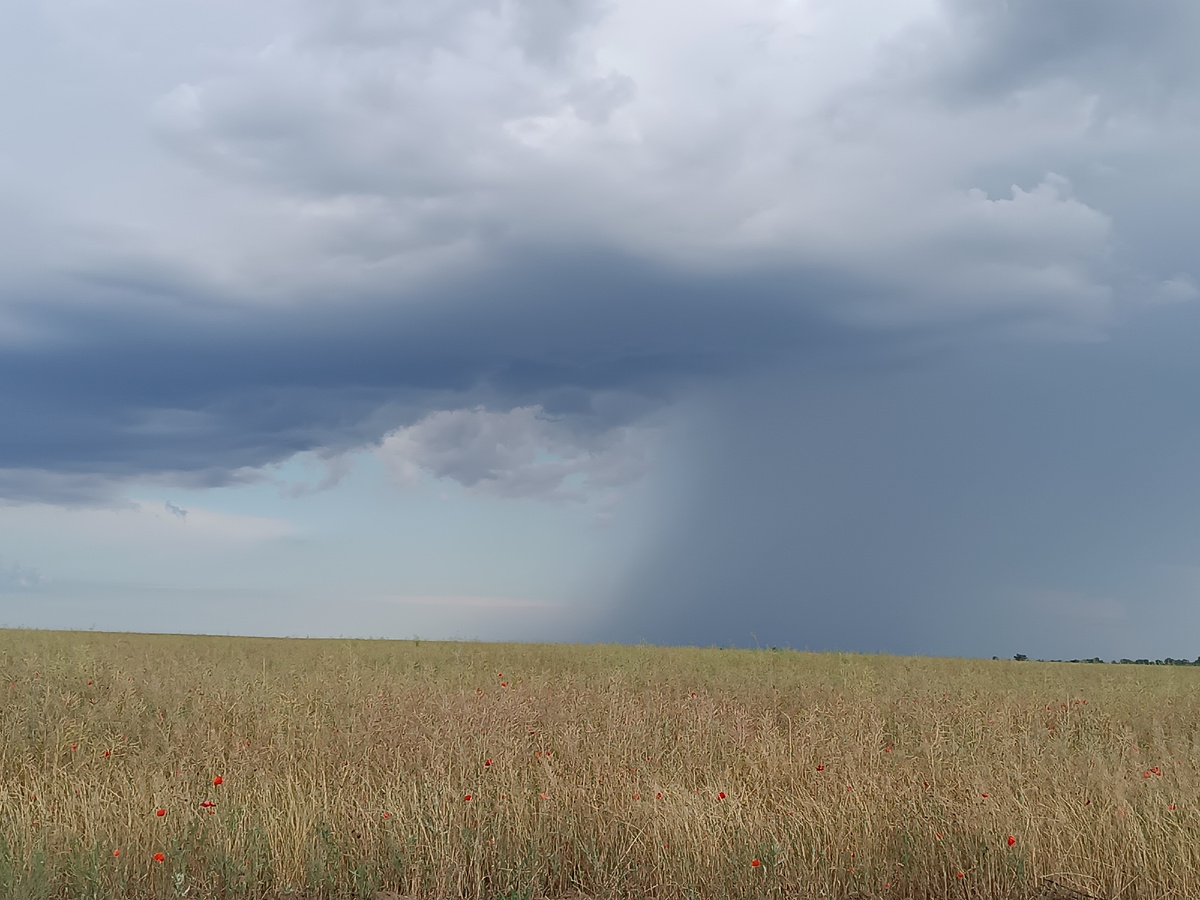 Где-то идёт дождь☔