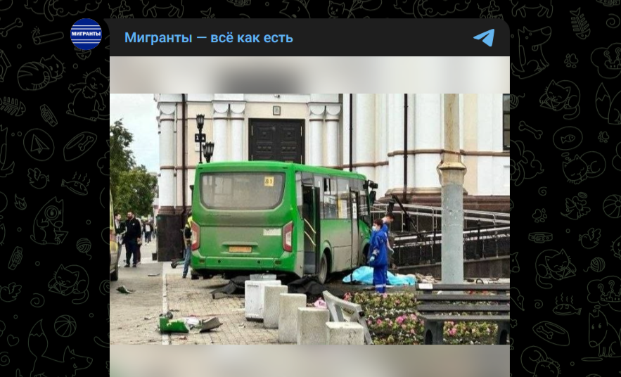 Фото: Telegram-канал "Мигранты - всё как есть"
