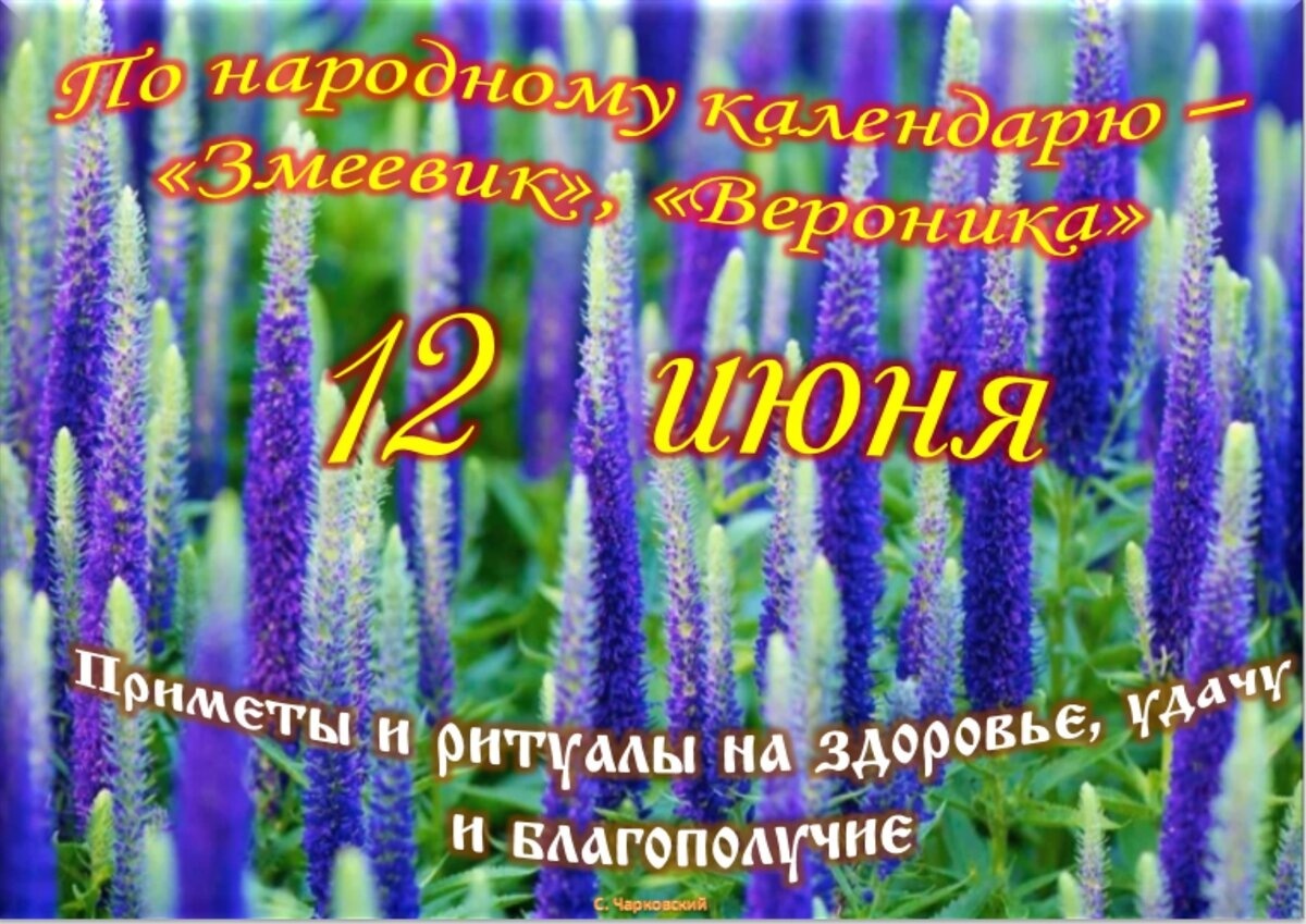 Встречаем новый день