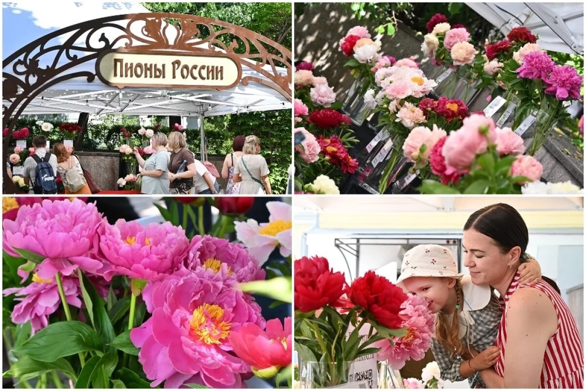    300 сортов в одном саду.