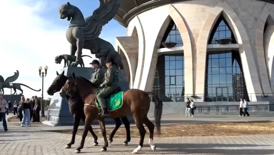    Фото: скриншот видео от пресс-службы МВД по РТ