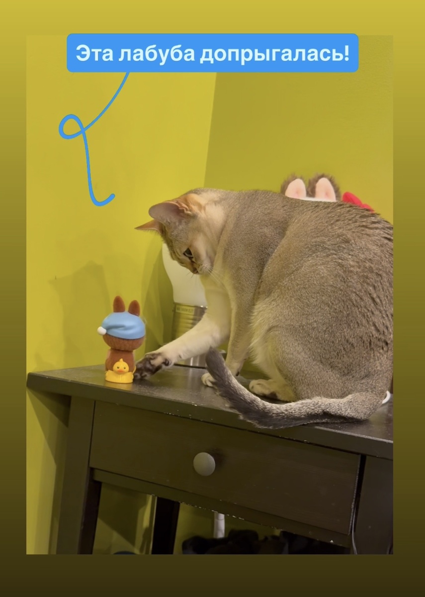 -2