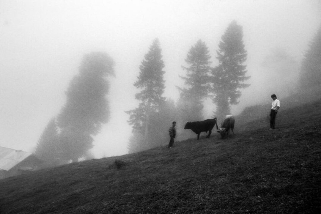    Камиль Фырат. Город Чамлыхемшин / Провинция Ризе. 1985 Фото: Изображения предоставлены «Собака.ru» пресс-службой «Росфото»