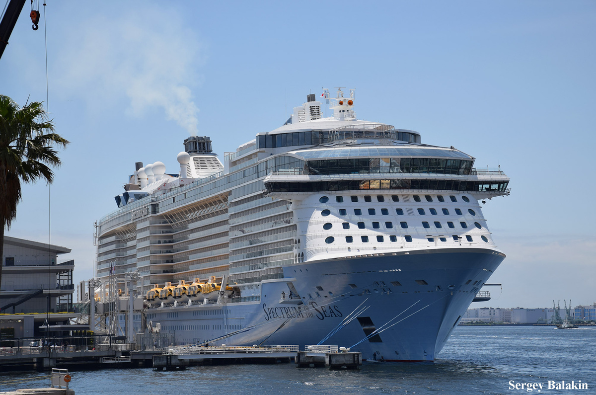 Лайнер «Spectrum of the Seas» у нового круизного терминала в Токио, май 2026 г. Фото автора