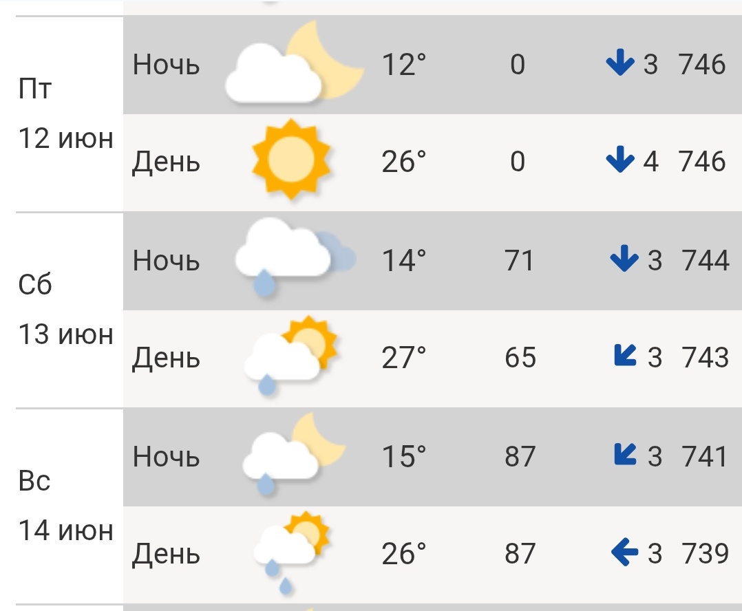 Погода на праздничные выходные в Кирове. Скриншот с сайта Гидрометцентра России. 