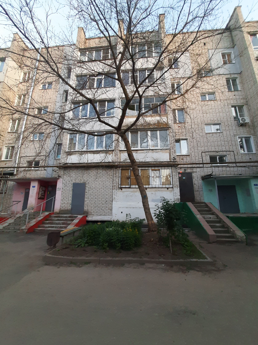 Бедное дерево