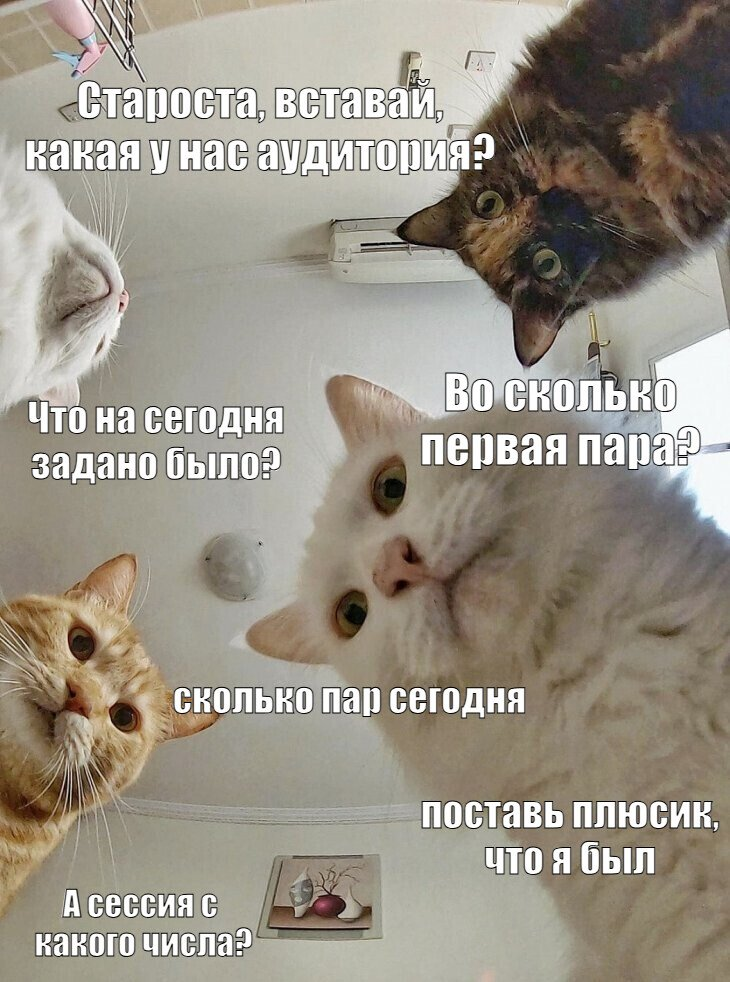 не хватает только фразы "Доброе утро, я опоздаю",  а так типичное утро)