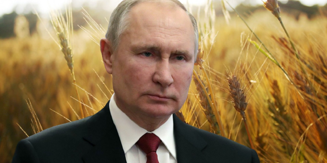 А я и не знал, что голодал в 80‑х. Как нам продают миф о «накормленной Путиным стране»