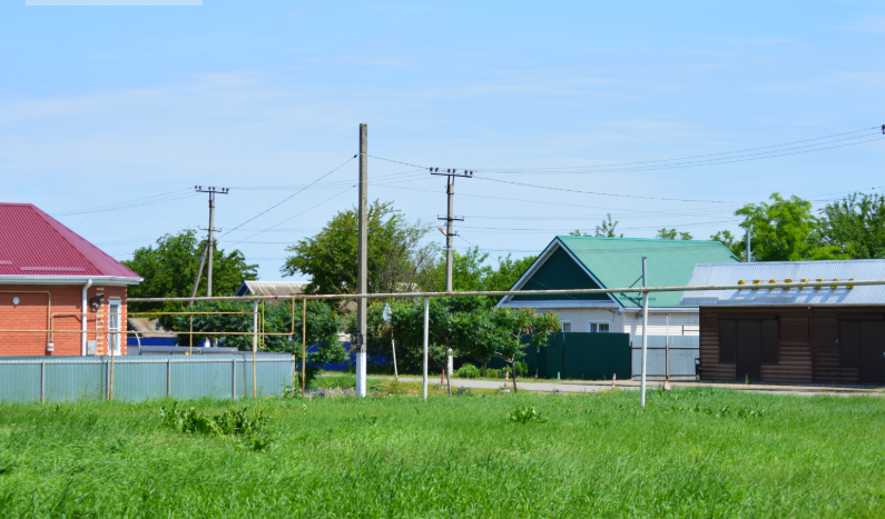 Фото автора. 11.06.2026.