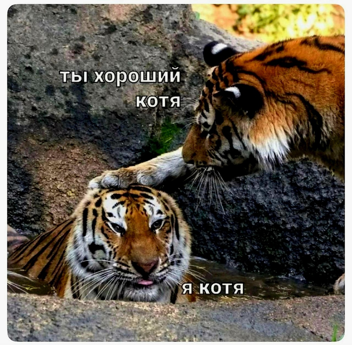 -2