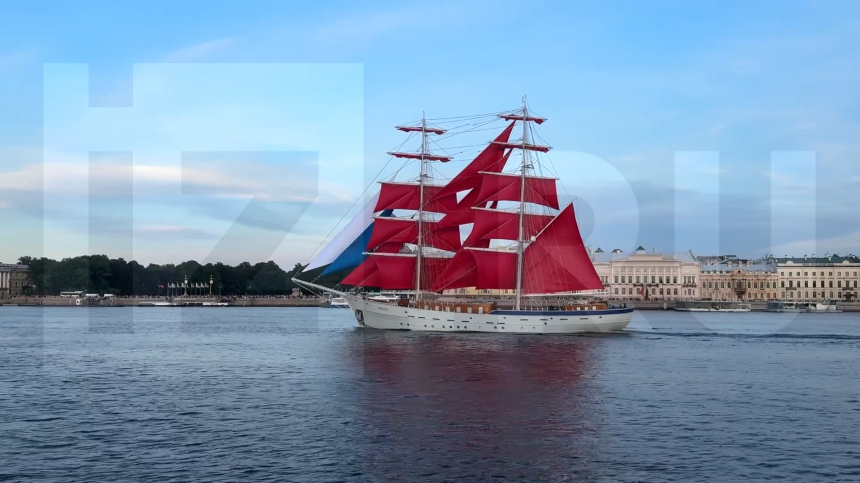    Фото: 5-tv.ru