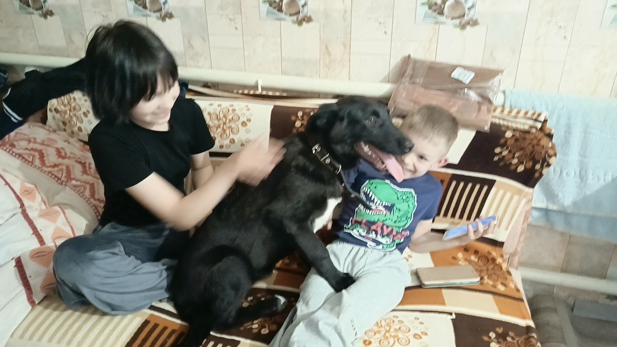 Славные ребята!
