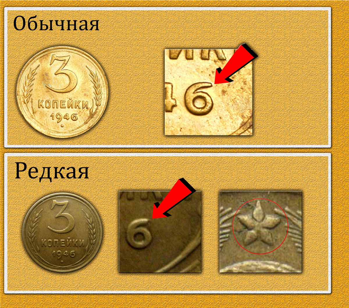 Фото для сравнения