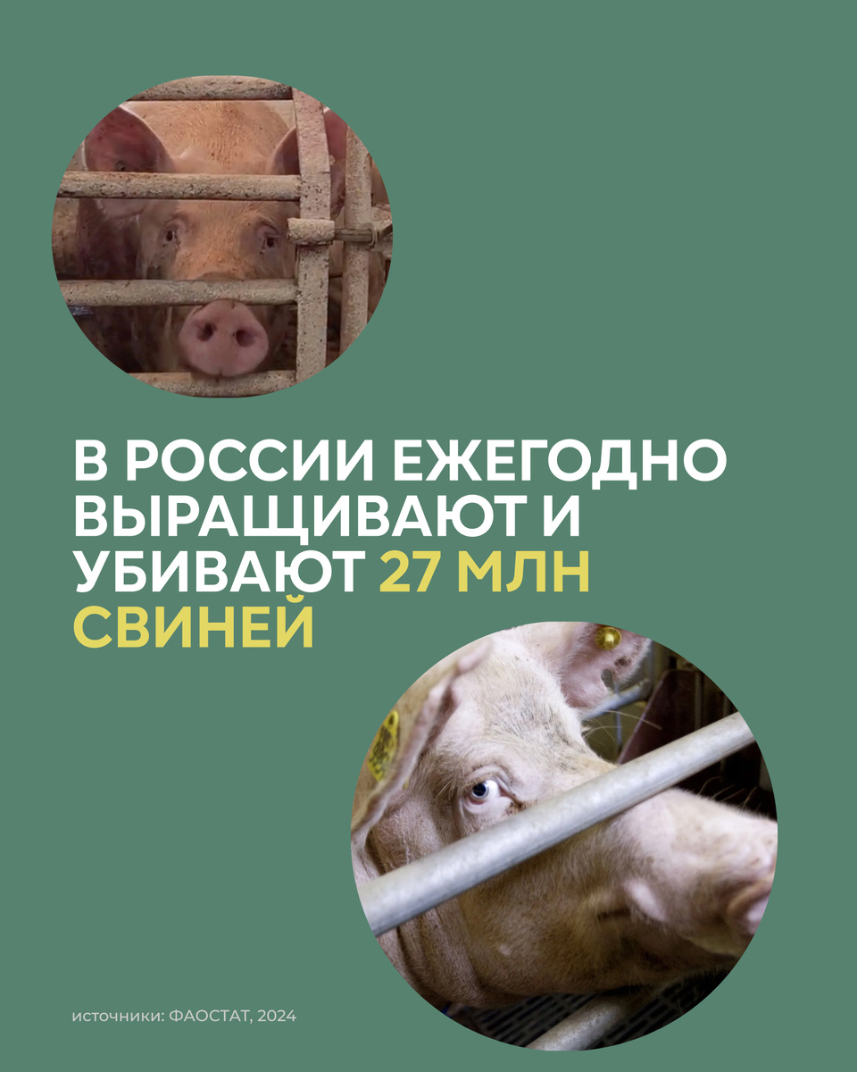 -1-3