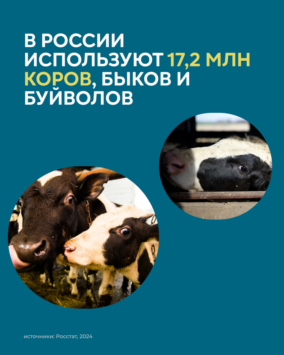 -1-2