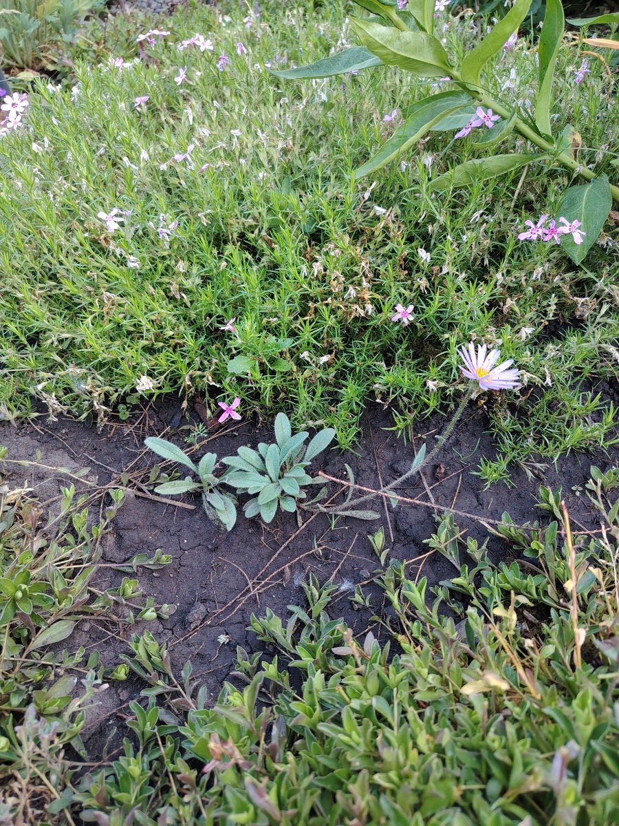 -1-2