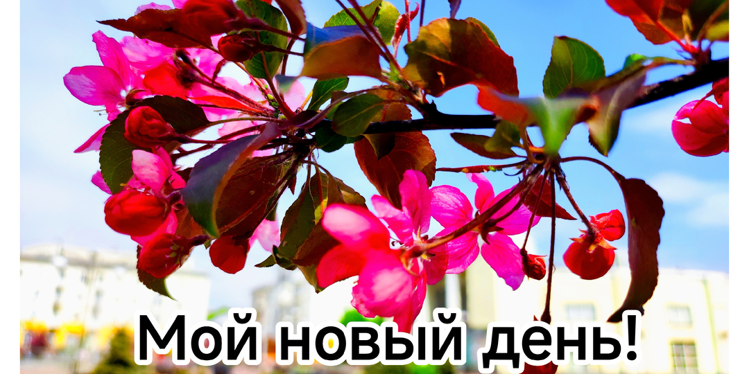 Софья Васильевна наслаждается утром!Моя поездка в торговый центр. Что купила?