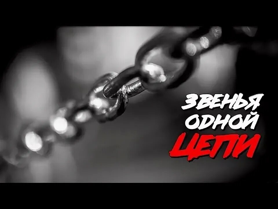Из открытых источников Яндекса.