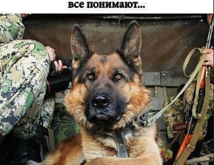 Армейские рассказы. Команда 300. Из пункта «А» в пункт «Б». Учебка. Школа. Застава. Служба. Гагарин. Фельдшер Шумков. Каргачаков. Дембель