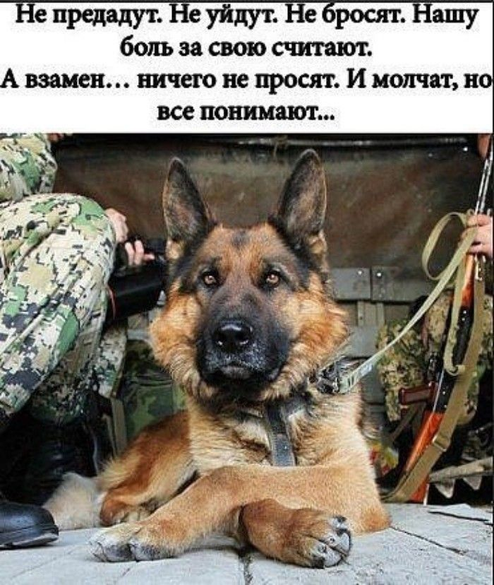 Фото из Яндекса. Спасибо автору. 