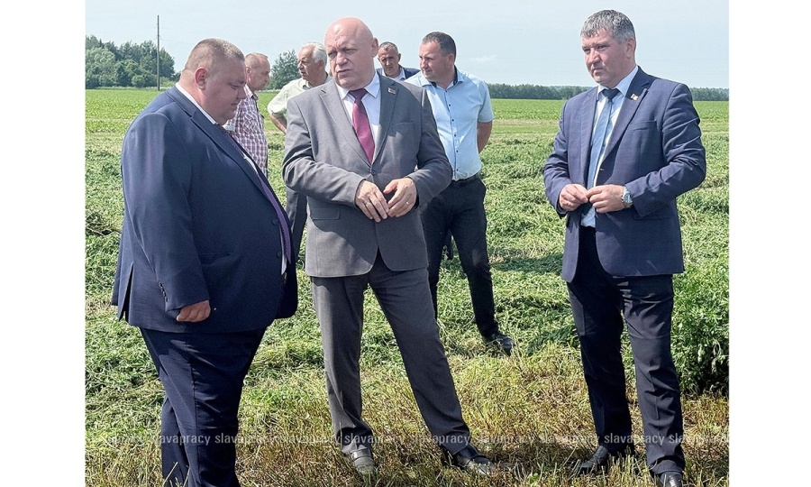 На передовой кормозаготовки: почему эффективность хозяйств теперь зависит от мобильных бригад
