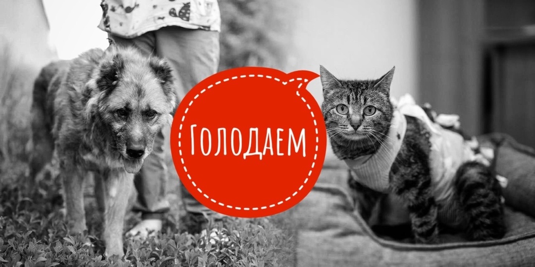 Сегодня кушали только 20 инвалидов!