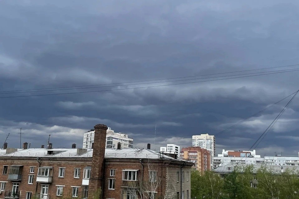    12 июня в Новосибирске пройдет дождь с грозой. Дарья СИДОРЕНКО