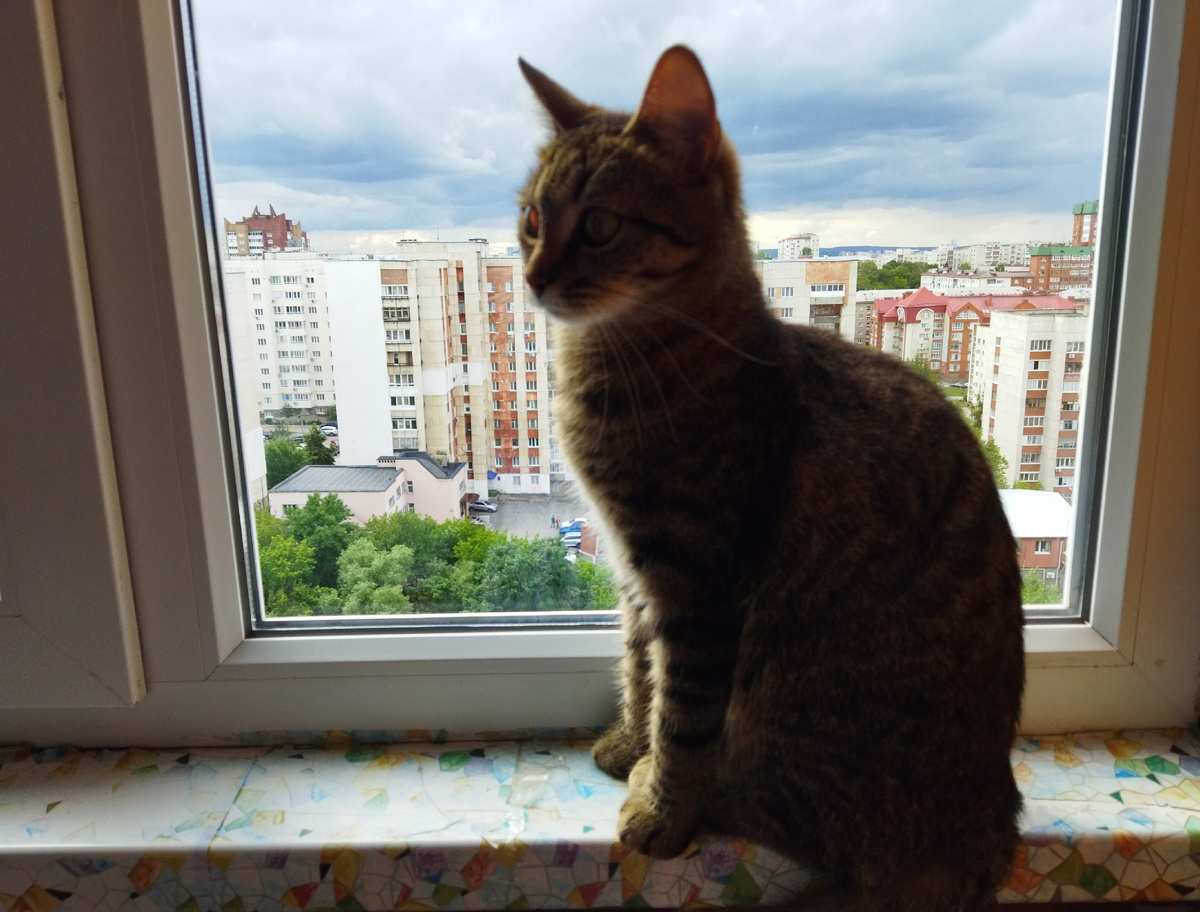 ФОТО АВТОРА