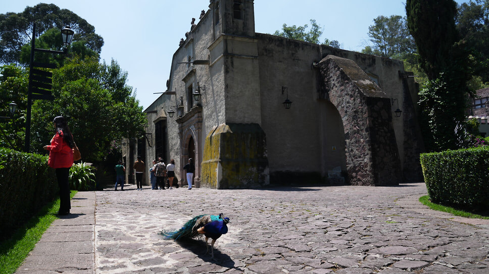 Фото: Marco Ugarte / AP
