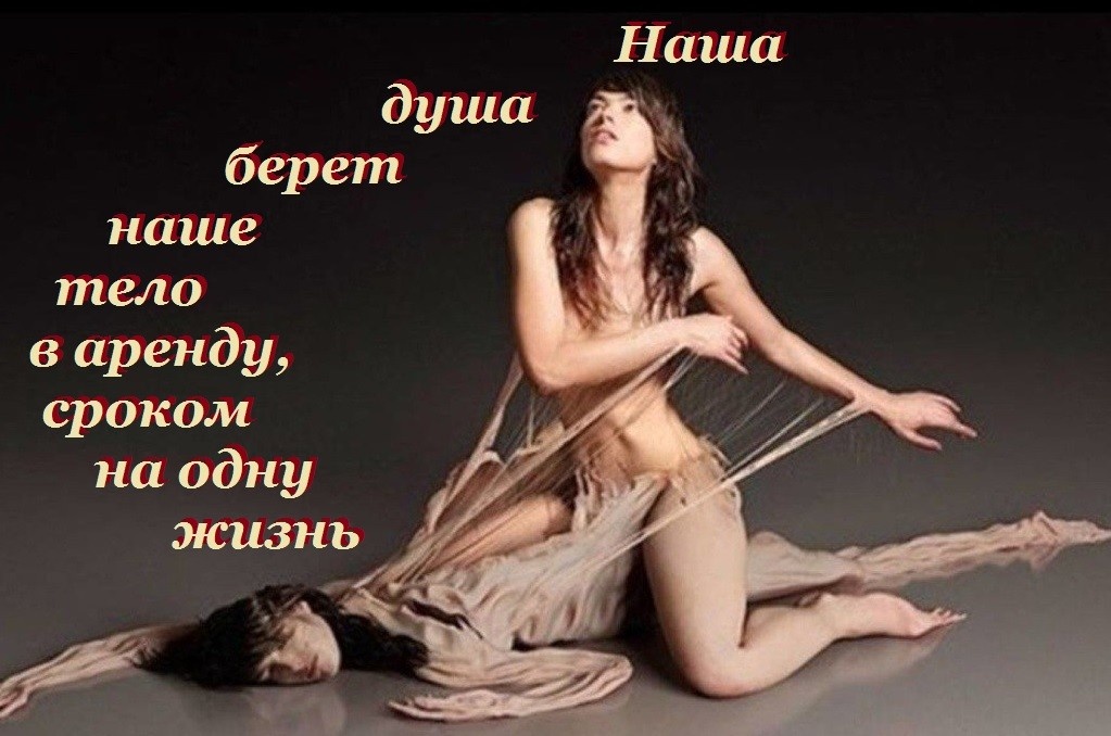 Наша душа берет наше тело в аренду, сроком на одну жизнь!