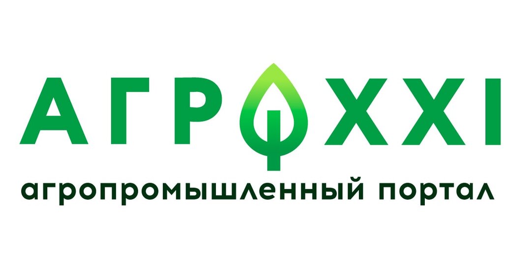 Как бороться с нашествием колорадского жука и защитить растения
