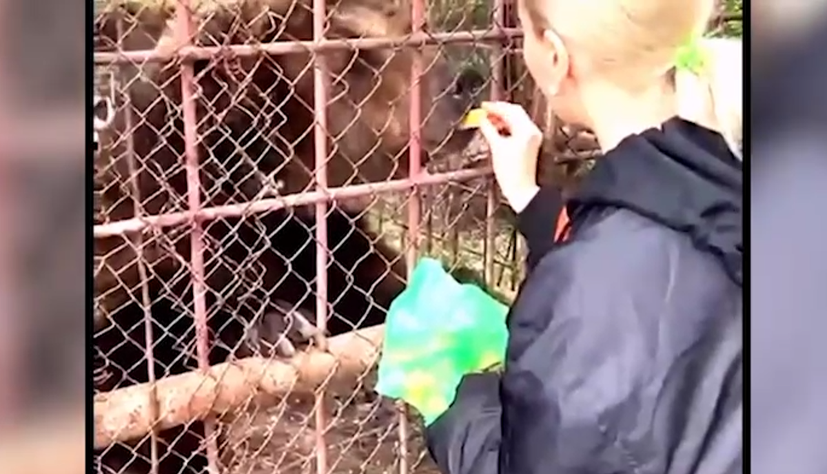     / Источник: Кадр из видео