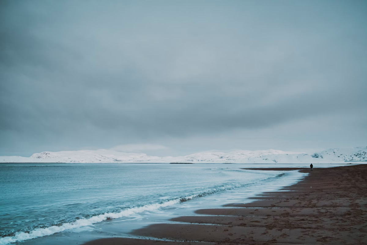 Фото: Unsplash