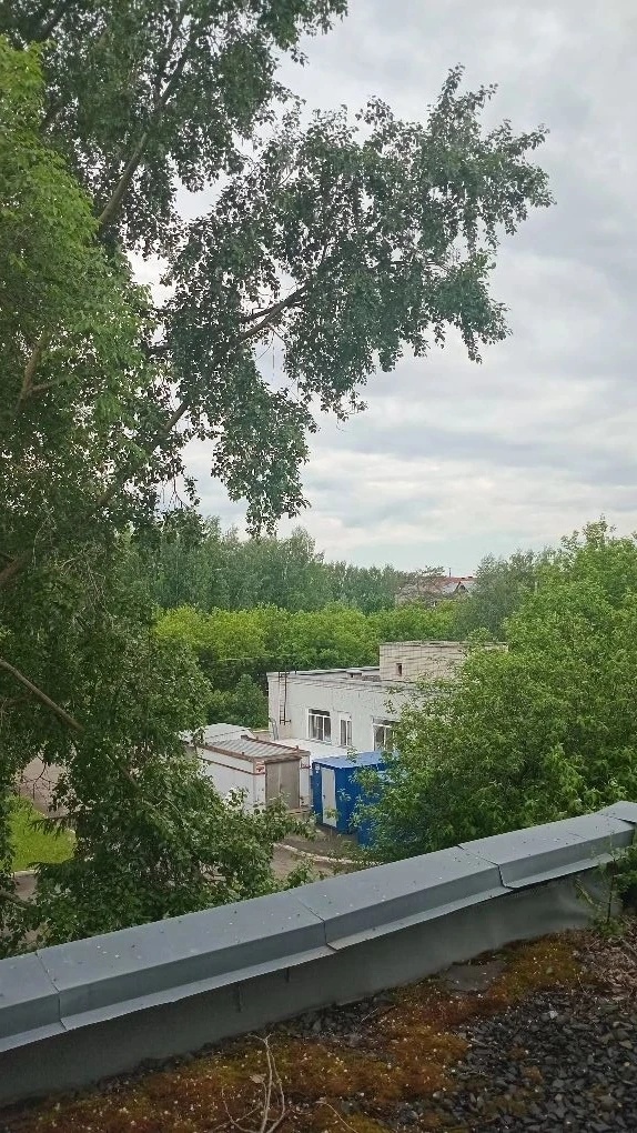 Вид из окна больницы 