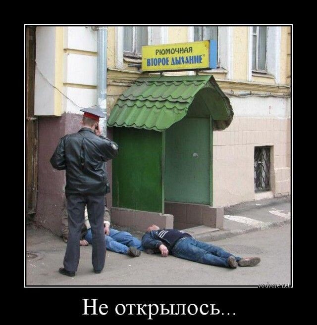 Яндекс картинки