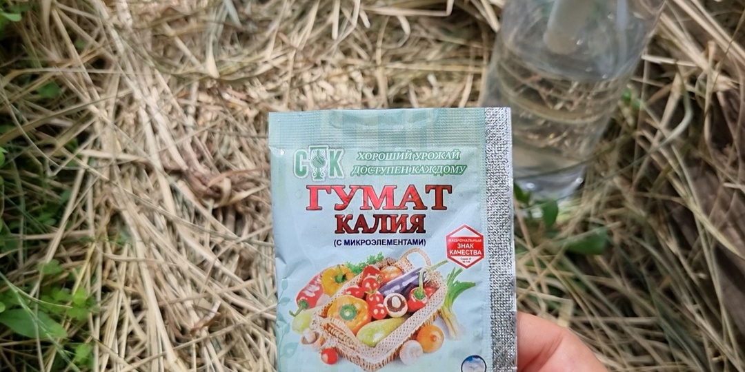 Томаты цветут: самое время использовать Гумат калия. Как применять эффективную подкормку