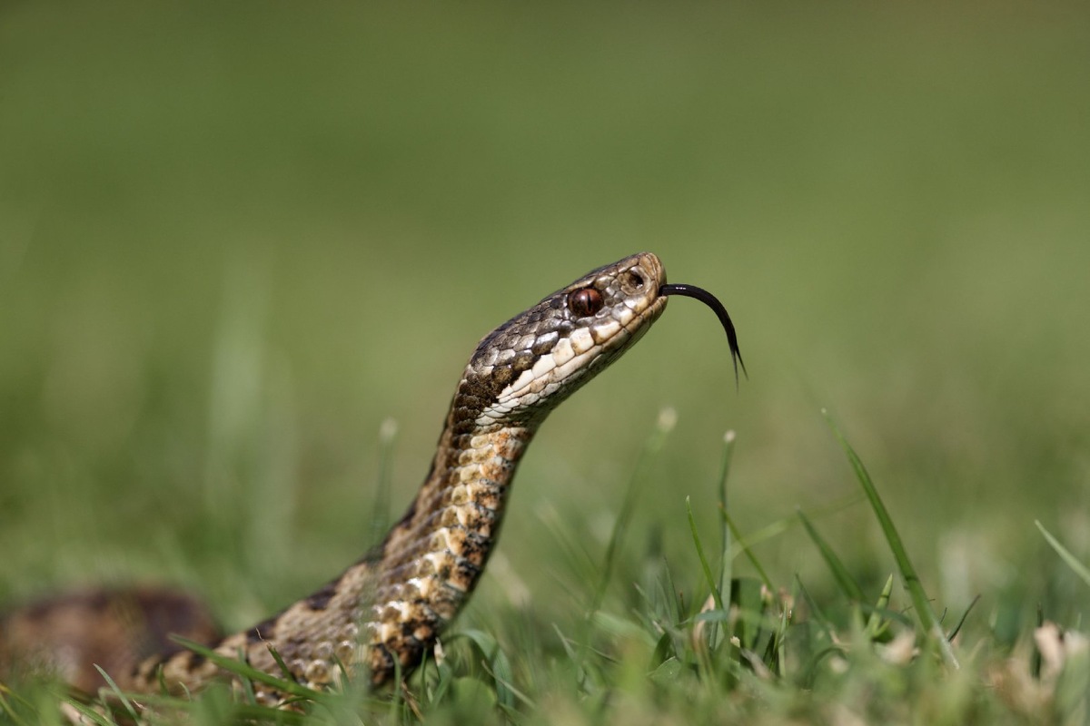    Фото: istockphoto/MikeLane45