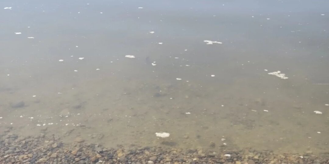 Роспотребнадзор обнаружил кишечную палочку в двух водоемах Томской области