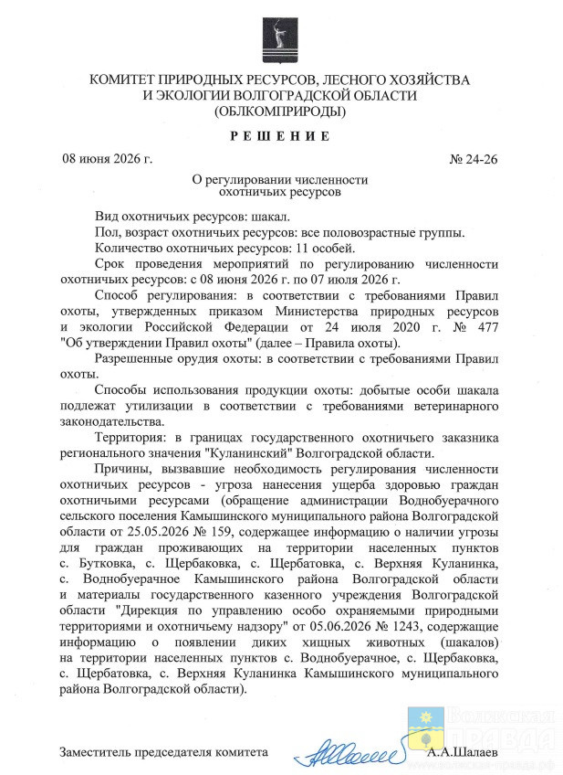 Решение о регулировании численности диких хищных животных № 24-26 от 08.06.2026📷    Угрожают пяти сёлам: в Волгоградской области уничтожат 11 шакалов
