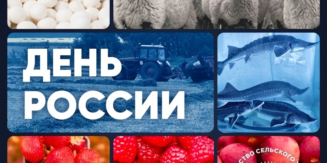 🇷🇺 С Днём России! Гордимся прошлым, создаём будущее