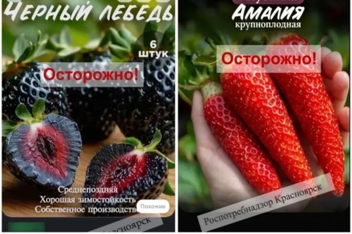    Дачникам рассказали, как распознать мошеннические фото растений