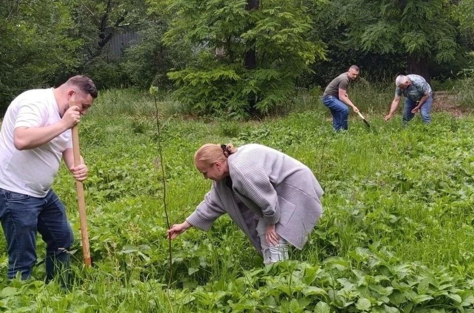   В преддверии Дня России в Республике провели акцию по озеленению. Фото: Минприроды ДНР